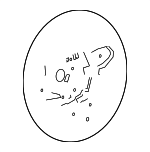 32336790886 - Steering: Steering Wheel for BMW: 528i, 528i xDrive, 530i, 535d, 535d xDrive, 535i, 535i GT, 535i GT xDrive, 535i xDrive, 540i, 550i, 550i GT, 550i GT xDrive, 550i xDrive, 740i, 740Ld xDrive, 740Li, 740Li xDrive, 750i, 750i xDrive, 750Li, 750Li xDrive, 760Li, ActiveHybrid 5, ActiveHybrid 7, M5 Image