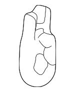 34901SB0671 - Electrical: Bulb for Honda: Accord, Civic, CR-V, CR-Z, Crosstour, CRX, Element, Fit, Insight, Odyssey, Pilot, Prelude Image