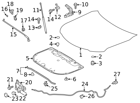 Hood & Components for 2022 Toyota Camry #1