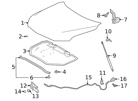 Hood & Components for 2019 Toyota Avalon #0