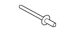 WHT005353 - Body: Motor Rivet for Porsche: Cayenne Image