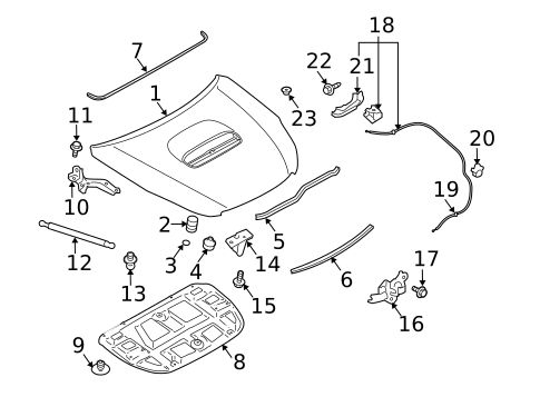 Hood & Components for 2010 Subaru Legacy #0