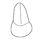 9046708028 - : Seal Clip for Toyota: Avalon, Solara Image