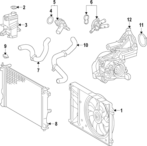 Radiator & Components for 2025 Lexus NX350h #2