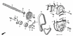 11811PT0000 - Engine: RUBBER, TIMING BELT SEAL (LOWER) for Honda Image