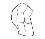 83256SDAA03 - Body: Overhead Console Cam for Honda: Odyssey, Pilot, Ridgeline Image