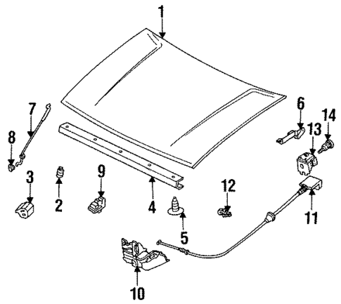 Hood & Components for 1990 Isuzu Amigo #0