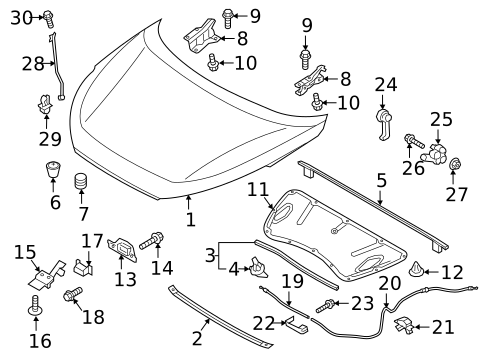 Hood & Components for 2021 Hyundai Tucson #0