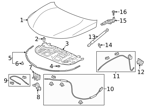 Hood & Components for 2021 Acura RDX #0