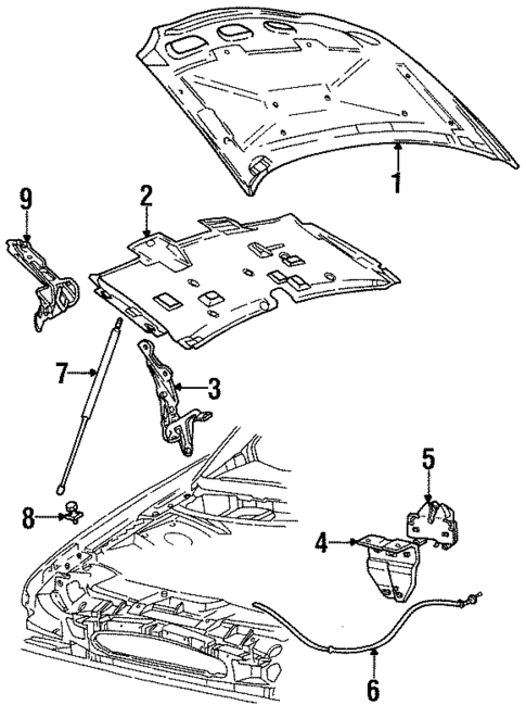 Hood & Components for 1996 Ford Taurus #0