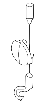 5209554 - Body: Lens for Chrysler: PT Cruiser | Dodge: Neon Image