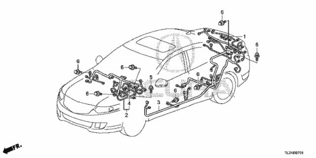 Wire Harness (2) for 2014 Acura TSX #0