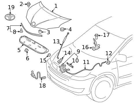 Hood & Components for 2017 Toyota Sienna #0