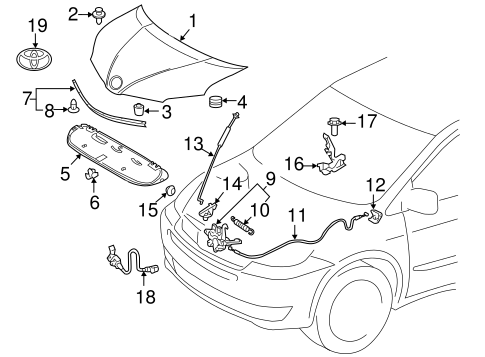 Hood & Components for 2013 Toyota Sienna | OEM Parts Online