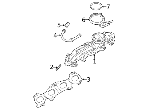 Exhaust Manifold for 2022 Audi S8 #0