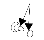 35551S9VA01 - : 2003-2005 Honda Pilot - Bulb (14V 60MA) for Honda: Pilot Image