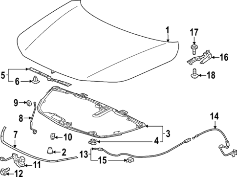 Hood & Components for 2022 Honda Civic #0