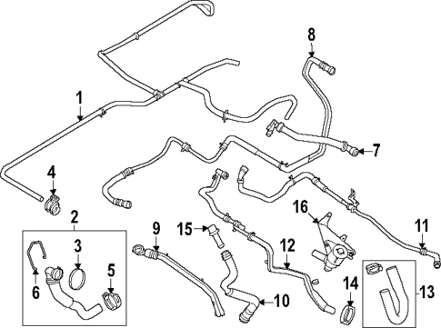Hoses & Lines for 2024 Ford F-250 Super Duty #0