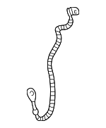 22695435 - Electrical: Ground Cable for Saturn: Vue Image