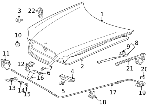 Hood & Components for 2002 Mercedes-Benz CLK 55 AMG&reg; #0