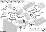 17128678510 - Radiator: Hose, Radiator for BMW Image