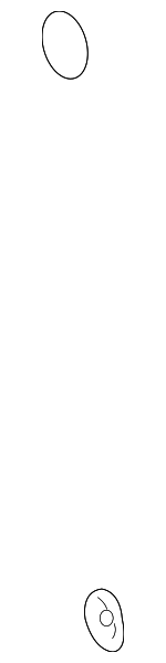 25623415 - Body: Hinge Nut for Buick: LeSabre | Cadillac: DeVille | Pontiac: Bonneville Image