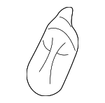 2626189949 - Electrical: Headlamp Bulb for Nissan: 350Z, Altima, Juke, Maxima, Murano, Pathfinder, Qashqai, Rogue, Rogue Select, Rogue Sport, Versa, Versa Note Image