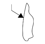 8V7885776E - Body: Seat Back Pad for Audi: A3, A3 Quattro Image