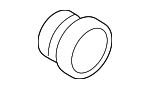 C2S4604 - : Level Sensor Grommet for Jaguar Image