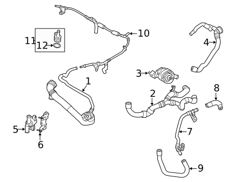 Hoses & Lines for 2023 Audi S3 #1