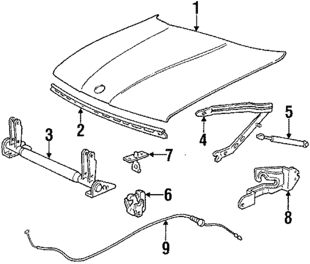 Weatherstrip - BMW (51711946499)