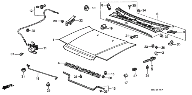 Hood for 1986 Honda Accord #0