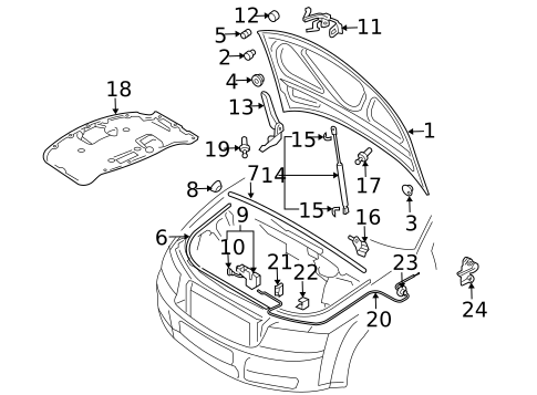Hood & Components for 2005 Audi A4 Quattro #2