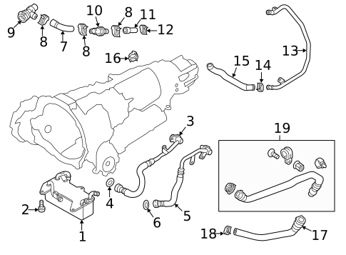 Trans Oil Cooler for 2013 Audi A6 #1