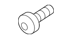 PAF10413408 - Cooling System: Water Pipe Bolt for Porsche Image
