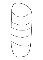 64903GA060 - Body: Stopper Spring for Subaru: Legacy, Outback Image