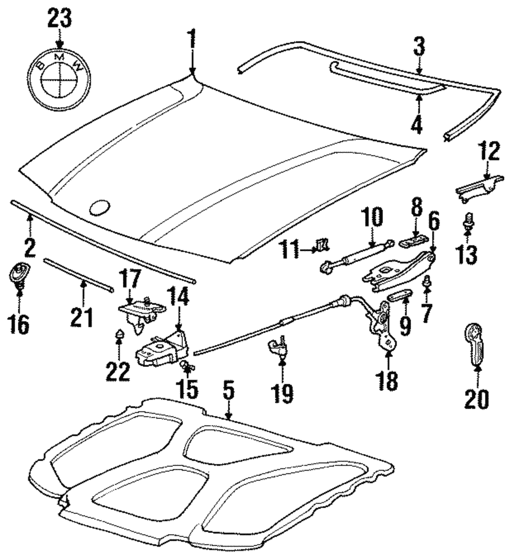 Link Arm Bolt - BMW (7119915014)