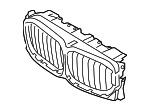 51135A29C25 - : Air Inlet Grille for BMW: X6 Image