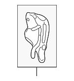 2133038014 - Engine: Inner Timing Cover for Hyundai Image