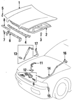 5330130310 - Body: Hood for Lexus Image