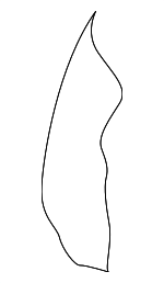 6901C450 - : Seat Back Pad for Mitsubishi: Mirage, Mirage G4 Image