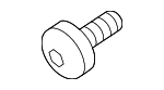 N91096801 - Body: Hinge Bolt for Porsche: Cayenne, Macan, Panamera, Taycan Image