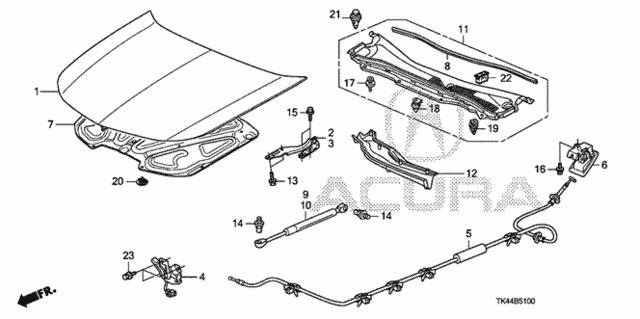 Engine Hood for 2010 Acura TL #0
