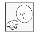 4510076100C3 - : Steering Wheel for Lexus: CT200h Image