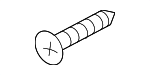 Rocker Molding Retainer Screw