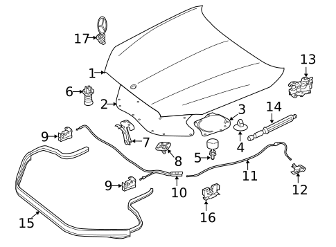 Exterior Trim - Hood for 2011 Mercedes-Benz S65 AMG #2