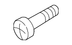 972049 - Electrical: Lamp Housing Screw for Volvo Image