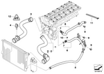 17127510952 - Radiator: Water Hose for BMW Image