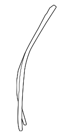 769237S21A - Body: Opening Trim for Nissan: TITAN Image