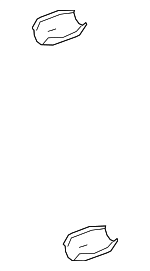 184450S010 - Exhaust: Front Shield for Toyota: Sequoia, Tundra Image